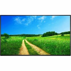 AllSee M50P6 50" LCD Digital Signage Display - 24 Hours/7 Days Operation - In-plane Switching (IPS) Technology - 1920 x 10