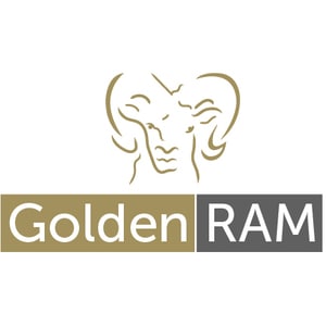 GoldenRam 128GB USB On-The-Go Flash Drive - 256 GB - USB