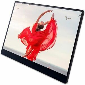 Schermo Touchscreen OLED Ricoh 150BW - 406,4 mm (16") Class - 1 ms - 39,6 cm (15,6") Viewable - 10 Point(s) Schermo multi-