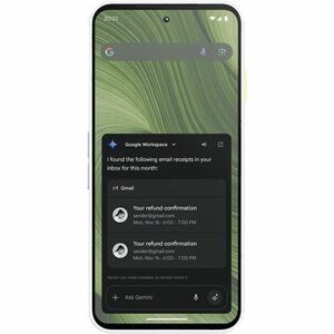 Fairphone 6 256 GB Smartphone - 16 cm (6.3") LTPO OLED Full HD 1116 x 2484 - Octa-core (Cortex A720Single-core (1 Core) 2.