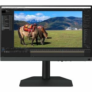 BenQ Photographer SW242Q 24" Class WQXGA LED Monitor - 16:10 - 24.1" Viewable - In-plane Switching (IPS) Technology - LED 