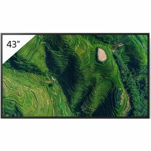 Sony Pro Bravia FW43BZ35PB 1092,20 mm LCD Digital-Signage-Display - 24 Stunden/7 Tage Betrieb - Energy Star - IPS-Technolo