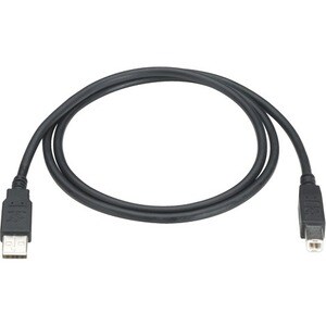 Black Box USB 2.0 A to B Cable - Type A Male USB - Type B Male USB - 10ft