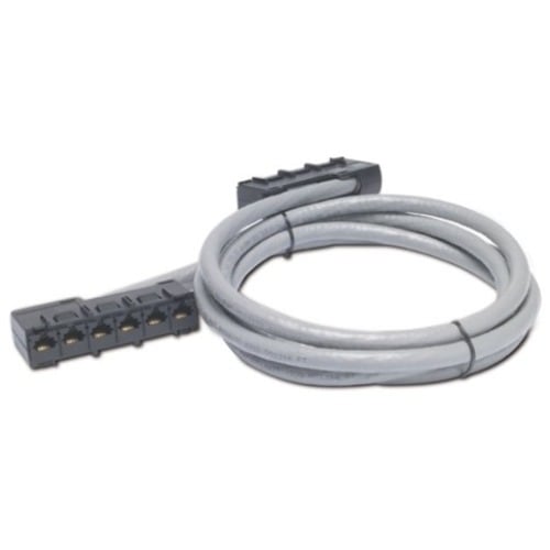 APC by Schneider Electric 6.40 m Category 5e Network Cable - 1 Each - TAA Compliant - Cable for Network Device - First End