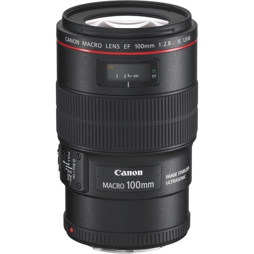 Canon EF - f/2.8 - f/32 - Macro Lens for Canon EF/EF-S - 67 mm Attachment - 1x Magnification - 1x Optical Zoom - USM - 77.