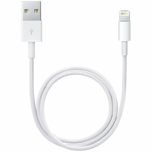 Apple 50 cm Lightning/USB Data Transfer Cable for iPad, iPod, iPhone - First End: 1 x Lightning - Male - Second End: 1 x U