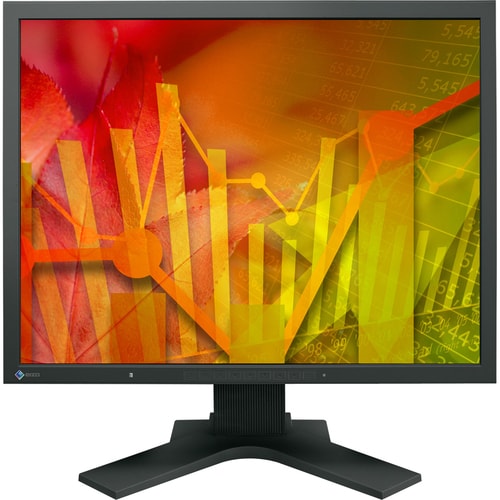 EIZO FlexScan S2133 21.3" UXGA LED LCD Monitor - 4:3 - Black - In-plane Switching (IPS) Technology - 1600 x 1200 - 16.7 Mi