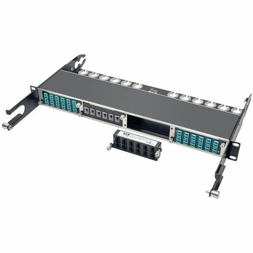 Eaton Tripp Lite Series 100Gb/120Gb Pass-Through Cassette - (x12) 24-Fiber MTP/MPO ( Female ) - (x12) 24-Fiber MTP/MPO
