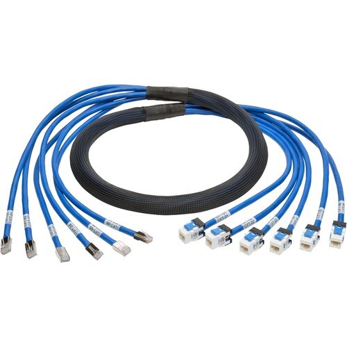 Eaton Tripp Lite Series Cat6a 10G Pre-Terminated Copper Trunk Assembly (6x RJ45 M/F), Blue, 10 ft. (3.05 m) - 10 ft Catego
