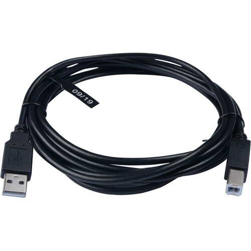 V7 V7E2USB2AB-03M 3,05 m Datentransferkabel - Cable for Computer, Peripheriegerät, Digitalkamera, Drucker, Scanner, Media-