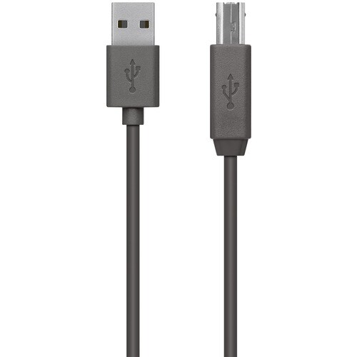 Belkin USB Data Transfer Cable - 15.75 ft USB Data Transfer Cable - First End: USB 2.0 Type A - Second End: USB Type B - B