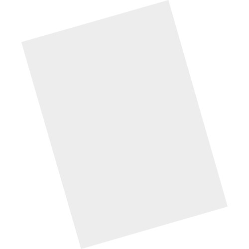 Zebra Tempered Glass Screen Protector - For LCD Handheld Terminal