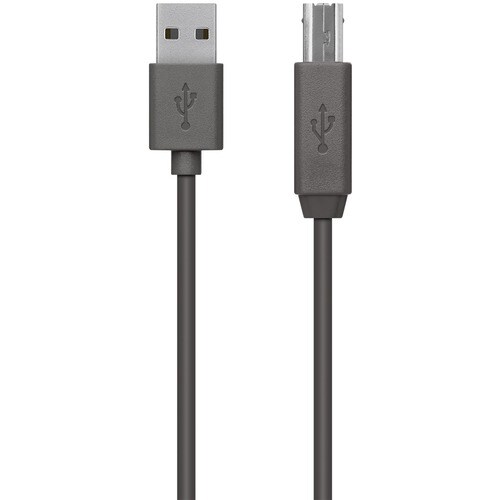 Belkin 1.80 m USB Data Transfer Cable - First End: USB 2.0 Type A - Second End: USB Type B