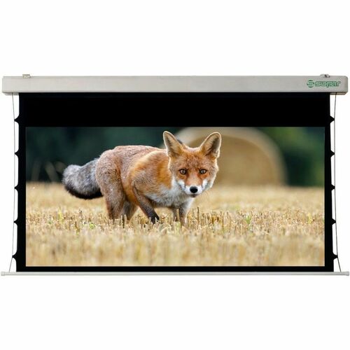 Schermo di proiezione SOPAR - 313 cm (123,2") - Elettrico - 16:10 - Cloruro di polivinile (PVC) - 181 cm (71,3") Altezza x