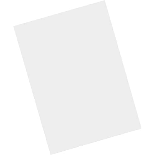 Zebra Gehärtetes Glas Displayschutz - für LCD Handheld Terminal