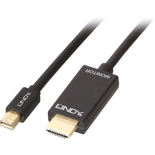LINDY 2 m HDMI/Mini DisplayPort A/V Cable for Projector, Notebook, Desktop Computer, Monitor, Audio/Video Device - First E