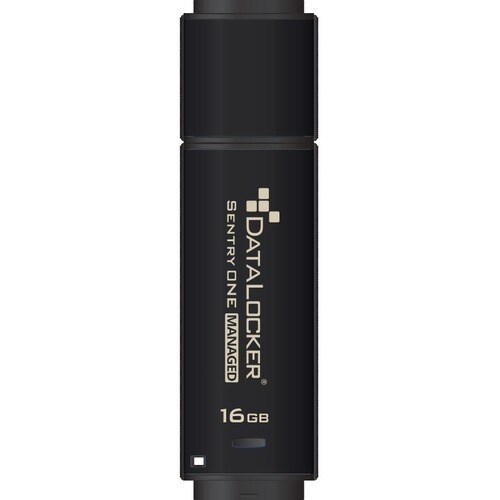 DataLocker Sentry ONE 16 GB USB 3.1 Flash Drive - 256-bit AES - TAA Compliant - 5 Year Warranty