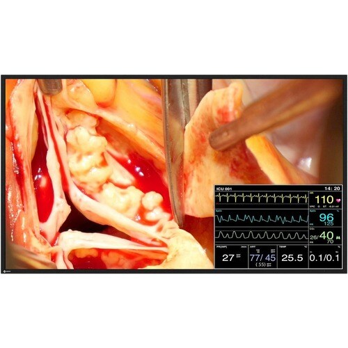 EIZO CuratOR LX491W-BK Full HD LCD Monitor - 16:9 - Black - 48.5" Viewable - LED Backlight - 1920 x 1080 - 16.8 Million Co
