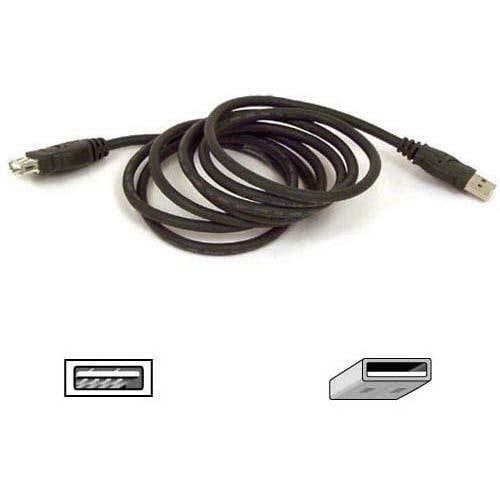 Belkin USB Extension Cable - Type A Male USB - Type A Female USB - 1.83m