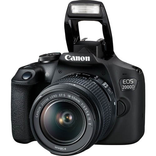 Canon EOS 2000D 24.1 Megapixel Digital SLR Camera with Lens - 18 mm - 55 mm - Autofocus - 7.6 cm (3")LCD - SLR Viewfinder 