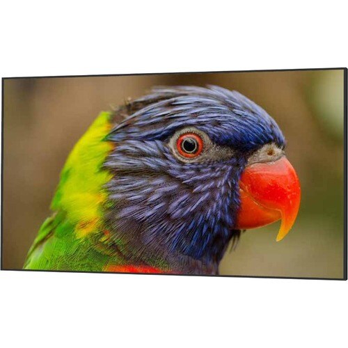 DynaScan DS752LR4 Digital Signage Display - 75" LCD Cortex A17 1.60 GHz - 2 GB - 3840 x 2160 - Direct LED - 3500 Nit - 216