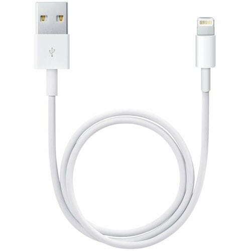 Apple 50 cm (19.69") Lightning/USB Data Transfer Cable for iPad, iPod, iPhone - First End: 1 x Lightning - Male - Second E