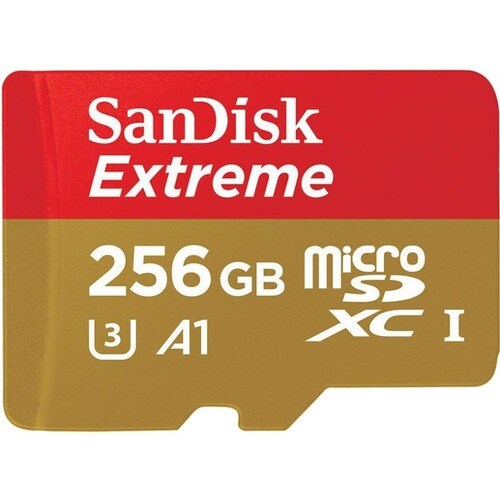 RealWear Extreme 256 GB UHS-III (U3) microSDXC - 90 MB/s Read - 30 MB/s Write
