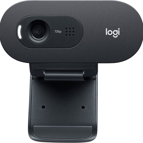 Logitech C505e Webcam - 30 fps - USB tipo A - 1280 x 720 Vídeo - Foco Fixo - Widescreen - Microfone - Notebook, Monitor