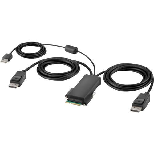 Belkin Modular DP Dual-Head Host Cable 6 ft. - 6 ft DisplayPort/Modular/USB KVM Cable for KVM Console, KVM Switch, Compute