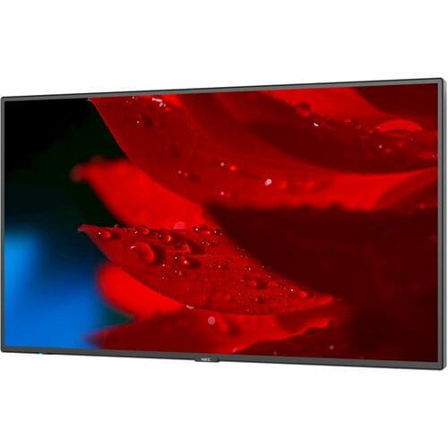 NEC Display MultiSync MA551 1397 mm LCD Digital Signage Display - 24 Hours/7 Days Operation - Energy Star - In-plane Switc