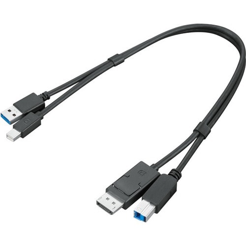 Lenovo ThinkStation mDP + USB-A 3.0 to DP + USB-B 3.0 Dual Head Cable - 1.41 ft Mini DisplayPort/USB/DisplayPort/USB-B Aud
