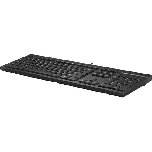 HP 125 Keyboard - Cable Connectivity - USB Interface - AZERTY Layout - Black - Plunger Keyswitch