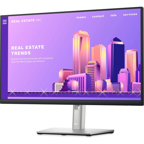 DELL 24 MONITOR - P2422H 60.5CM (23.8)