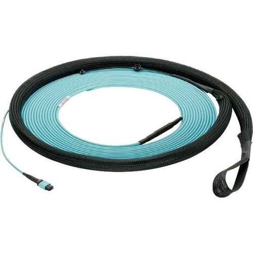 40FT OM4 12FBINDOORSMALLDMTRTRUNK