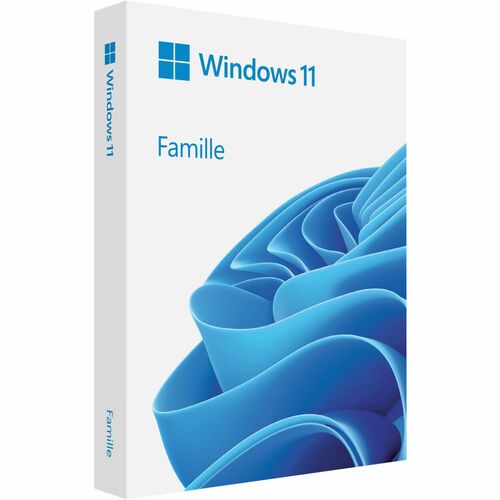 Microsoft Windows 11 Home 64-bit - Box Pack - 1 License - Flash Drive - French - PC