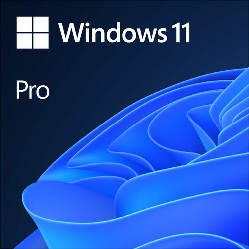 WIN PRO 11 64BIT ALL LNG ESD