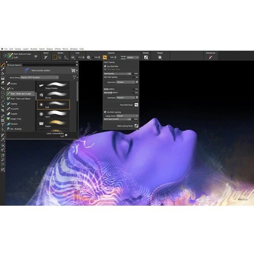 Corel Painter 2023 - Box Pack - 1 User - Academic - Image Editing - DVD-ROM - English, French - Intel-based Mac, PC - Wind
