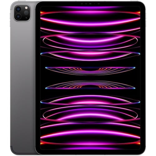 Apple iPad Pro (4th Generation) Tablet - 27.9 cm (11") - Apple M2 Octa-core - 8 GB - 256 GB Storage - 5G - Space Gray - 23