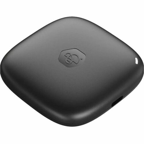 Synology 1 TB Portable Solid State Drive - External - USB 3.2 (Gen 2) Type C