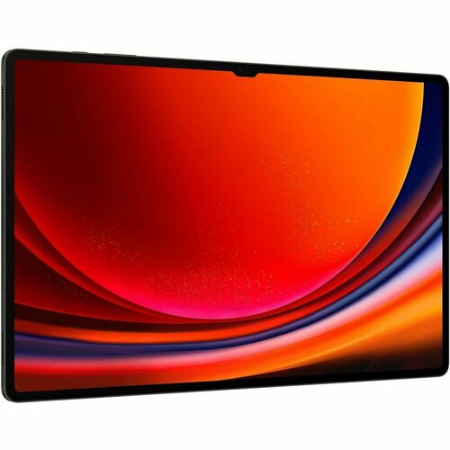 Samsung Galaxy Tab S9 Rugged Tablet - 27.9 cm (11") - Qualcomm SM8550-AB Octa-core - 12 GB - 256 GB Storage - 5G - Graphit