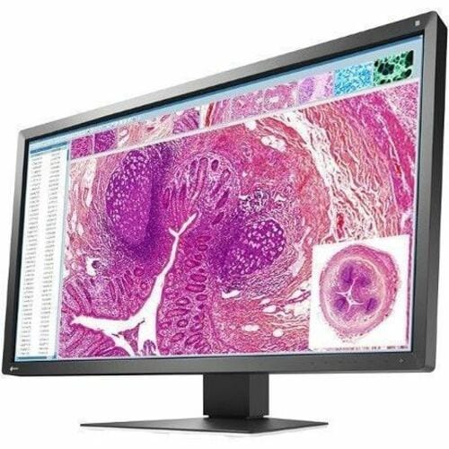 EIZO RadiForce MX317W-BK 31" Class 4K LED Monitor - 17:9 - Black - 30.5" Viewable - In-plane Switching (IPS) Technology - 