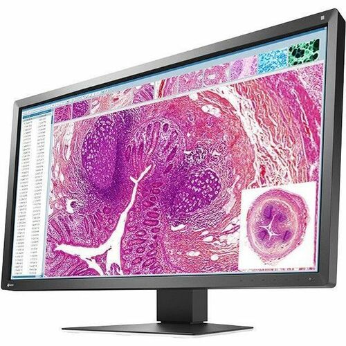 EIZO RadiForce MX317W 31" Class 4K LED Monitor - 17:9 - 77.5 cm (30.5") Viewable - In-plane Switching (IPS) Technology - L
