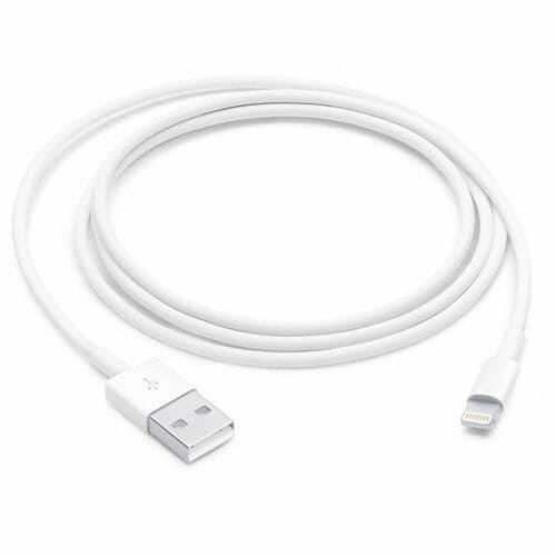 Apple 1m Lightning/USB Cable de transferencia de datos - Cable for Computador, Adaptador de alimentación, Enchufe de pared