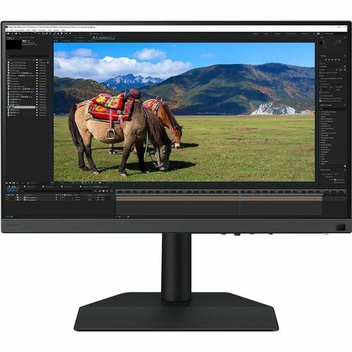 BenQ Photographer SW242Q 24" Class WQXGA LED Monitor - 16:10 - 24.1" Viewable - In-plane Switching (IPS) Technology - LED 