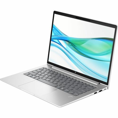 HP ProBook 440 G11 14" Notebook - WUXGA - Intel Core Ultra 5 125U - 16 GB - 256 GB SSD - English Keyboard - Pike Silver - 