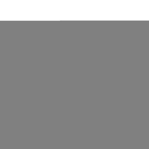 Rapid7 Licence des logiciels - Licence et contrat de souscription