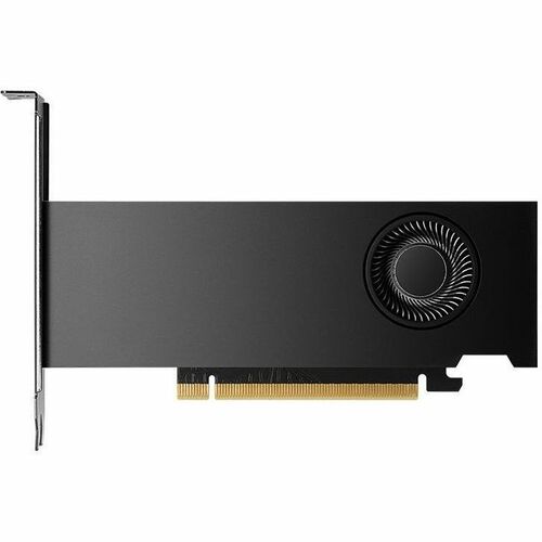 PNY NVIDIA RTX 2000 Ada Graphic Card - 16 GB GDDR6 - Low-profile - 7680 x 4320 - 128 bit Bus Width - PCI Express 4.0 x8 - 