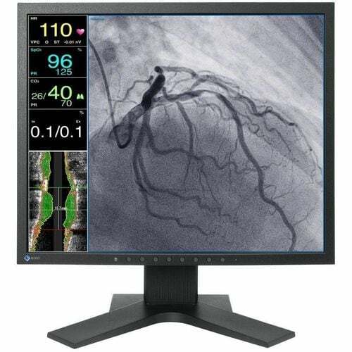 EIZO CuratOR LX1910-S 19" Class SXGA LED Monitor - 5:4 - Black - 19" Viewable - In-plane Switching (IPS) Technology - LED 