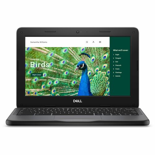 Dell Chromebook 3000 3120 11.6" Touchscreen Clamshell Chromebook - HD - Intel N-Series N100 - 4 GB - 64 GB Flash Memory - 