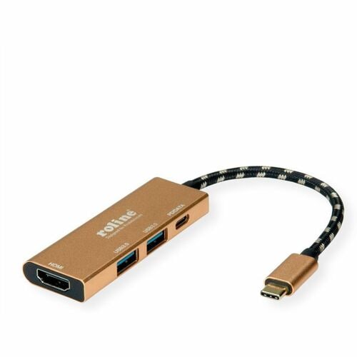 Roline USB 3.2 Gen. 2 (3.1 Gen. 2) Typ-C Docking Station für Notebook, TV, Monitor, Projektor, Tastatur, Maus, Festplatte,